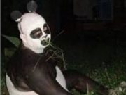 Hewanismeme