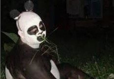 Kumpulan Meme Hewan Lucu Bikin Ngakak Terbaru Hewanismeme