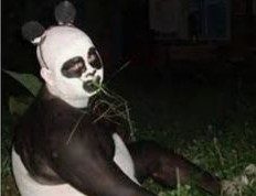 Kumpulan Meme Hewan Lucu Bikin Ngakak Terbaru Hewanismeme