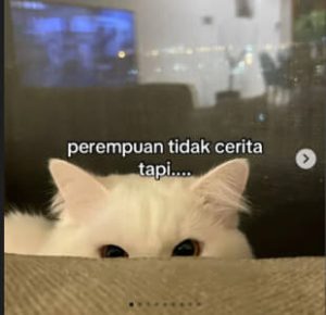 hewanismeme