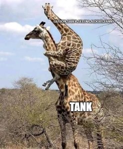 meme mobile legends hewanismeme.org