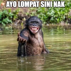hewanismeme.org