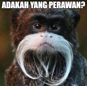 walid nak dewi