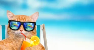 Meme Hewan Bikin Ngakak: Koleksi Lucu yang Selalu Jadi Hiburan Koleksi Lucu