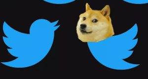 Meme Hewan yang Bikin Ngakak: Koleksi Lucu Bikin Ngakak