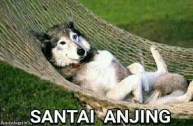 anjing santai hewanismeme