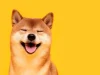 Apa Arti Meme “Doge”? Fenomena Internet yang Tak Pernah Lekang apa arti meme