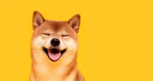 Apa Arti Meme “Doge”? Fenomena Internet yang Tak Pernah Lekang apa arti meme