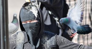 Kenapa Merpati Sok Sibuk di Meme Hewan? Fakta Lucu meme hewan