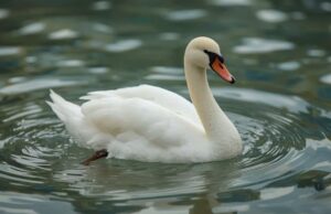 10 Meme Hewan Paling Lucu yang Bikin Hari Kamu Lebih Ceria