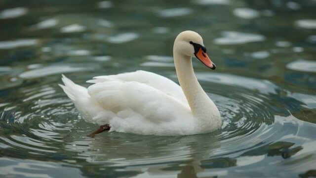 Lucid_Realism_Gambar_realistis_dari_10_Meme_Hewan_Paling_Lucu__0