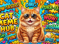 Kumpulan Meme Kucing Lucu yang Pasti Bikin Mood Kamu Naik meme kucing lucu